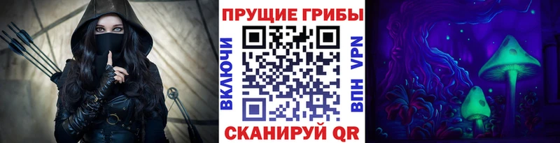 Галлюциногенные грибы GOLDEN TEACHER  наркотики  Эртиль 